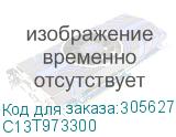 C13T973300