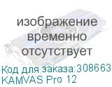 KAMVAS Pro 12