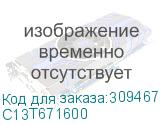 C13T671600