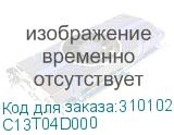 C13T04D000