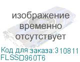 FLSSD960T6
