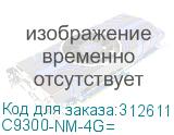 C9300-NM-4G=