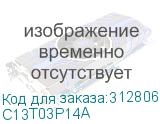 C13T03P14A