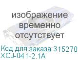 XCJ-041-2.1A