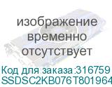 SSDSC2KB076T801964249