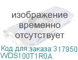 WDS100T1R0A