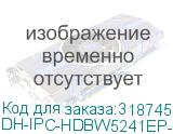 DH-IPC-HDBW5241EP-ZE
