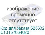 C13T37834020