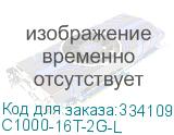 C1000-16T-2G-L