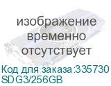 SDG3/256GB