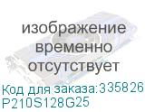 P210S128G25