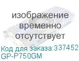 GP-P750GM