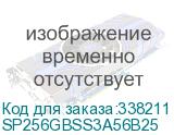 SP256GBSS3A56B25