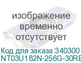 NT03U182N-256G-30RE