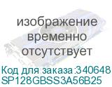 SP128GBSS3A56B25
