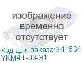 YKM41-03-31