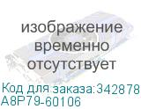 A8P79-60106