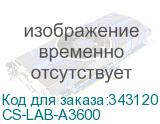 CS-LAB-A3600