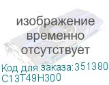 C13T49H300