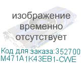 M471A1K43EB1-CWE