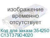 C13T379D4020