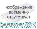 NT02P500STN-032G-R