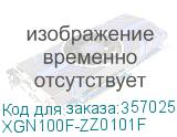 XGN100F-ZZ0101F