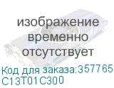 C13T01C300