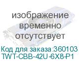 TWT-CBB-42U-6X8-P1