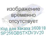 SP256GBSTXDV3V20