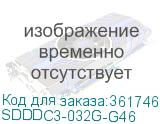SDDDC3-032G-G46