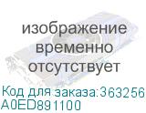 A0ED891100