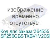 SP256GBSTXBV1V20SP