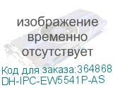 DH-IPC-EW5541P-AS
