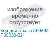 P06033-B21