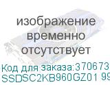 SSDSC2KB960GZ01 99A0AF