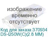 DS-I250W(C)(2.8 MM)