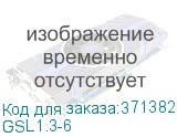 GSL1.3-6
