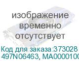 497N06463, MA00001008533