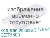 CET6603