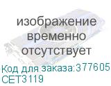 CET3119