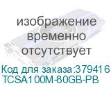 TCSA100M-80GB-PB
