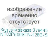 NT02P500STN-128G-S