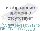 DHI-TF-C100/256GB