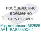 AP1TBAS2280Q4-1