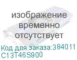 C13T46S900