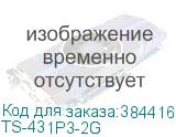 TS-431P3-2G