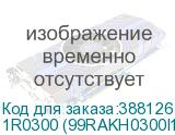 1R0300 (99RAKH0300I1170114)