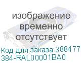 384-RAL00001BA0