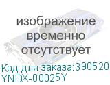 YNDX-00025Y